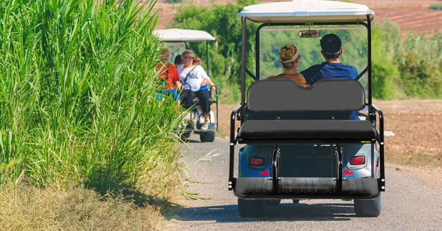 Top_Five_Picks___The_Best_Golf_Cart_Rea