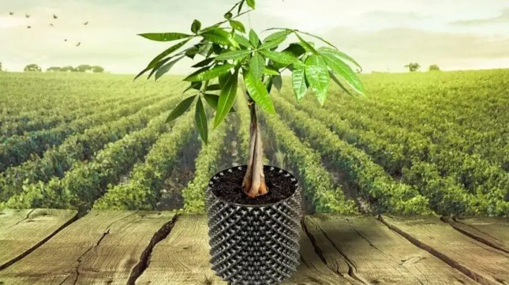 5-gallon-air-root-pots-b-10136