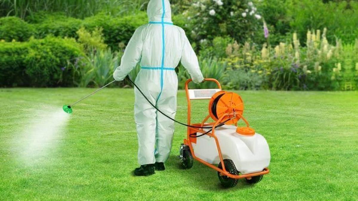 10 Best Battery-Powered Garden Sprayer Reviews in 2024 - VEVOR Blog