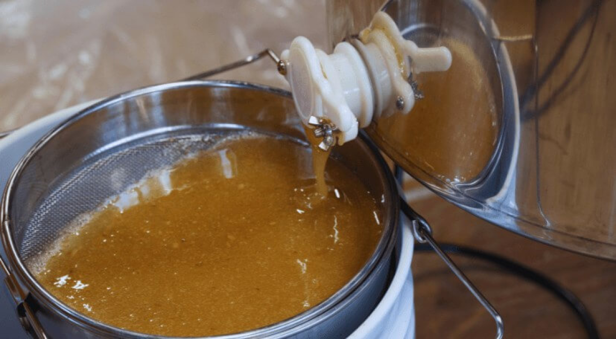 Ultimate Guide to Choosing The Best Electric Honey Extractor