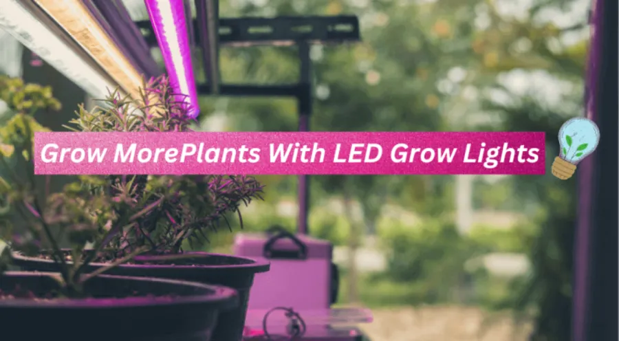 best-led-grow-lights-b-10145