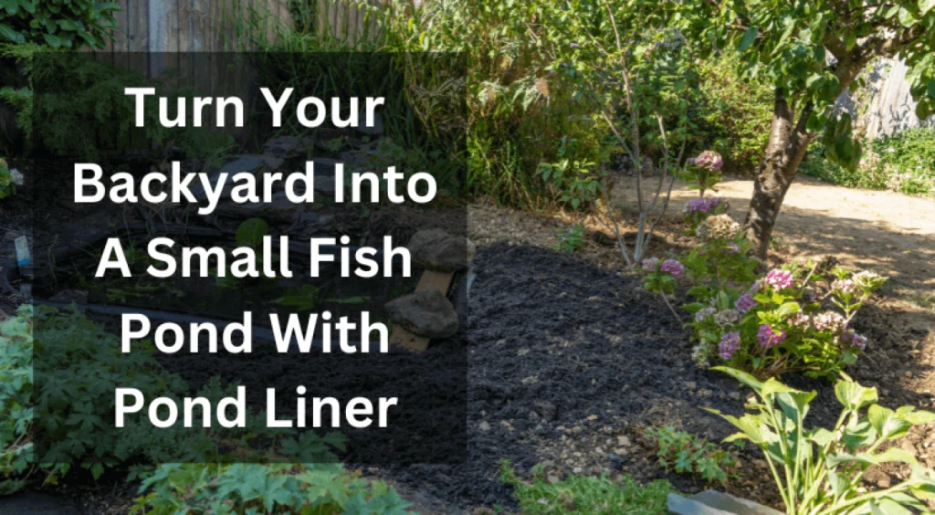 best-pond-liners-b-10144