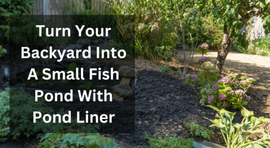 best-pond-liners-b-10144