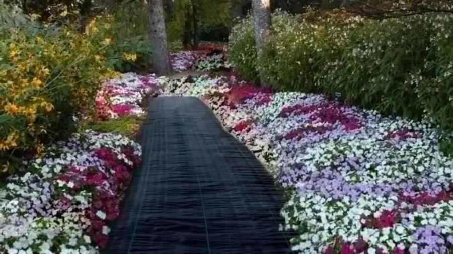 buying-guide-what-to-consider-when-choosing-a-wov