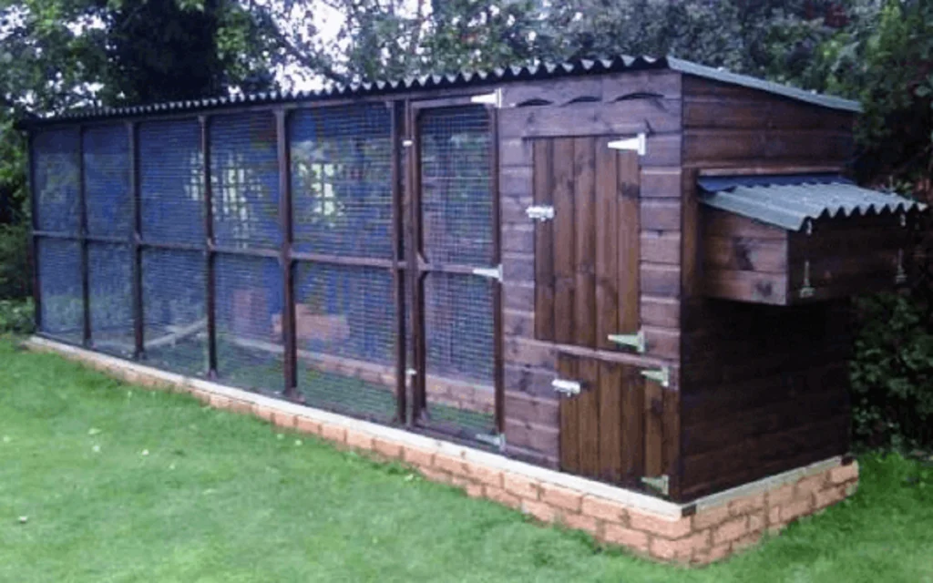 how big should a chicken coop be