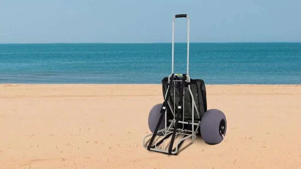 how-to-choose-the-perfect-balloon-tire-beach-wago