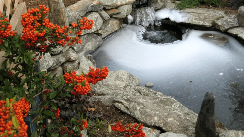 how-to-winterize-a-pond-h-10142