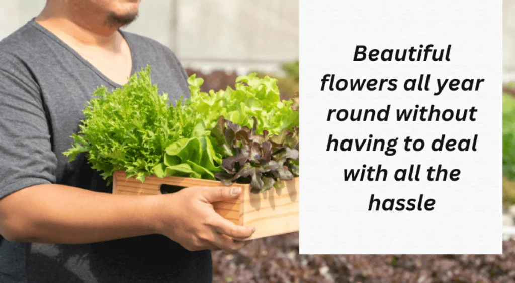 hydroponic-grow-system-b-10141