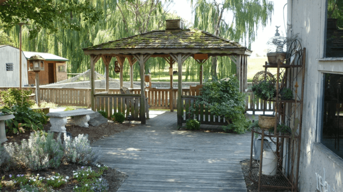 Pérgola vs. Gazebo: la estructura adecuada para su patio trasero - VEVOR  Blog, image size:1200x674