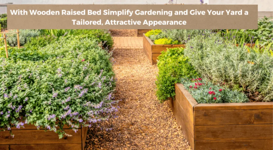 wooden-raised-garden-bed-b-10136