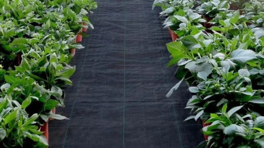 woven-vs-non-woven-landscape-fabric-b-10138