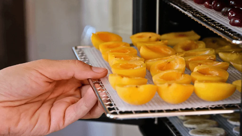 vevor electric food dehydrator