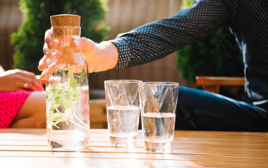 distilled water vs alkaline water