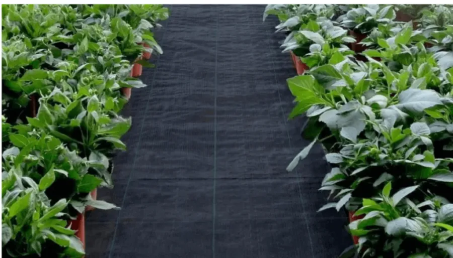 landscape fabric