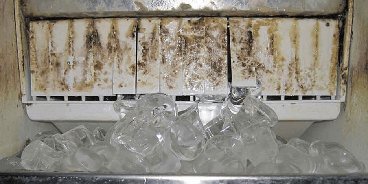 ice maker mold black particles close up