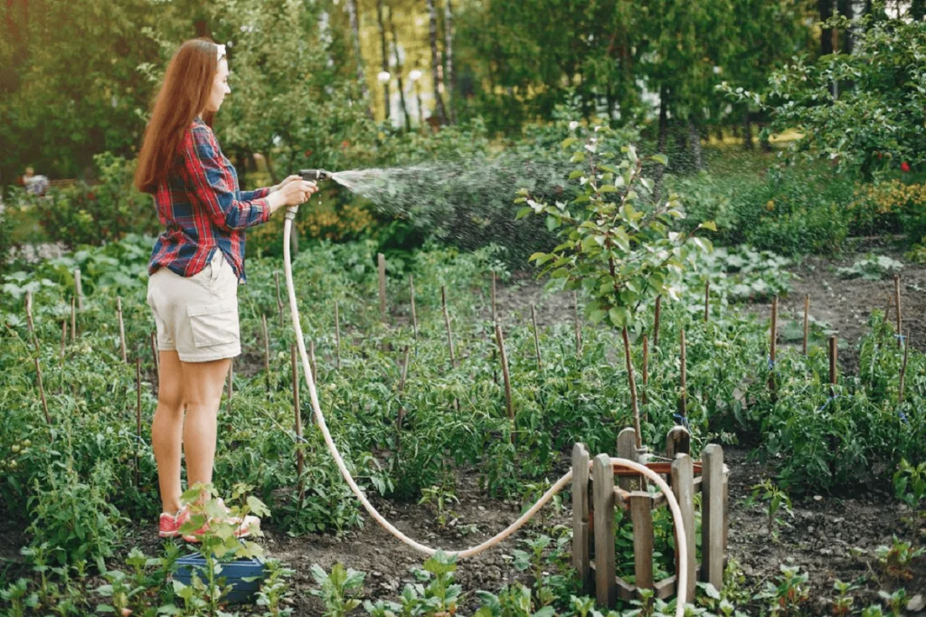 Garden hose