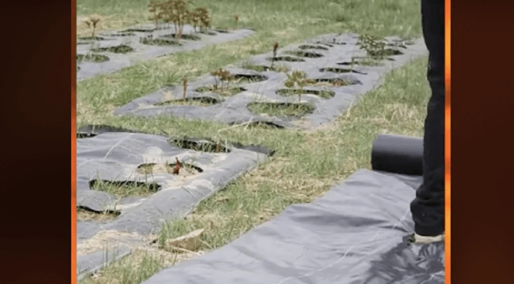 VEVOR weed barrier