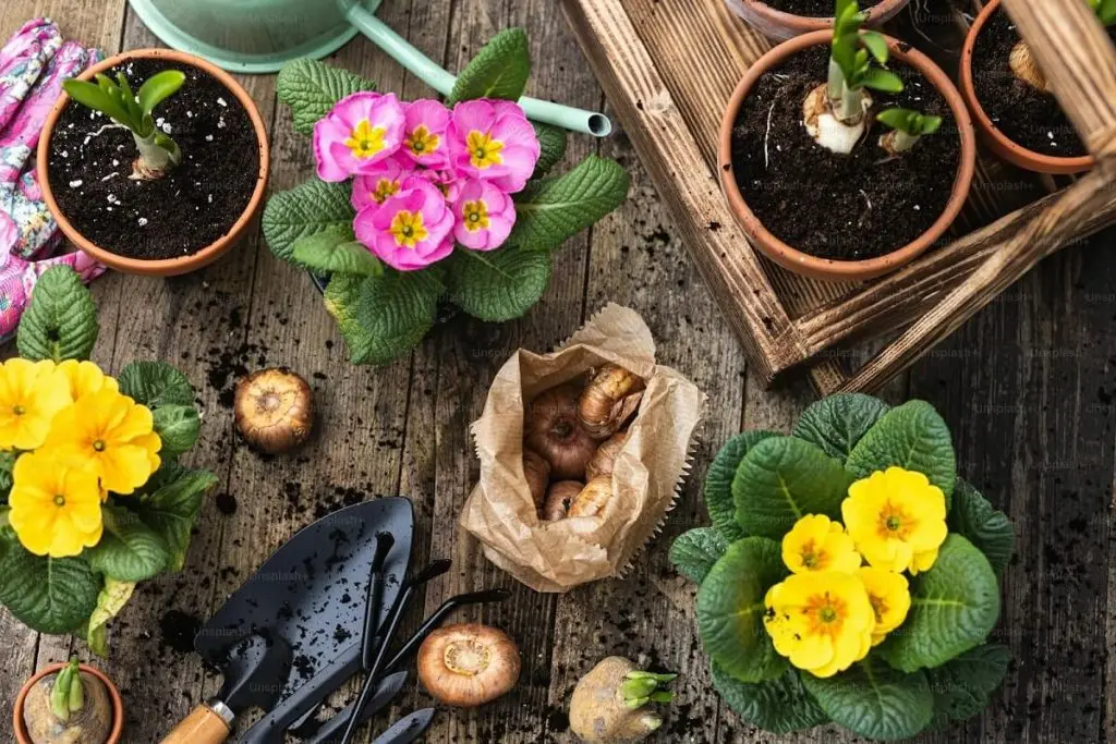 Garden by square foot