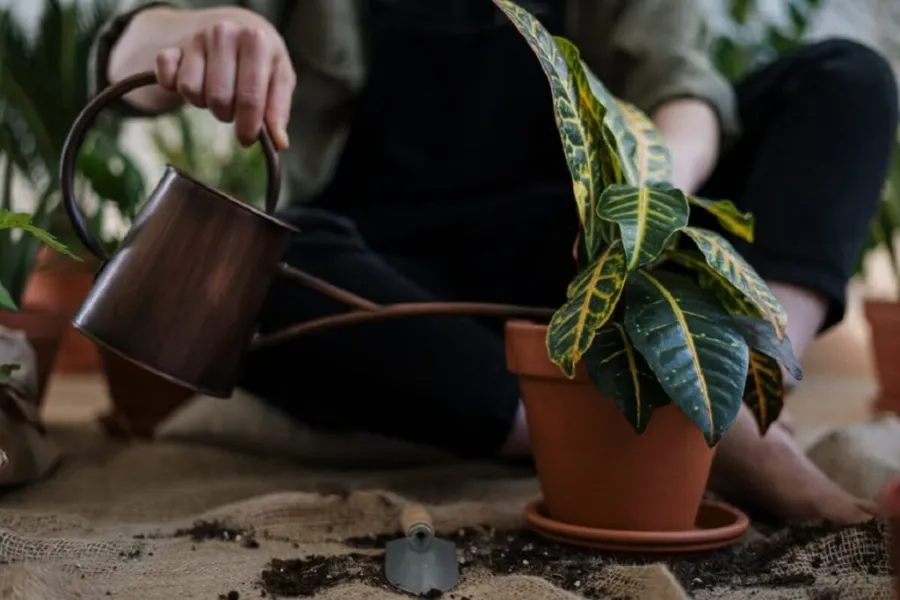 Watering your garden