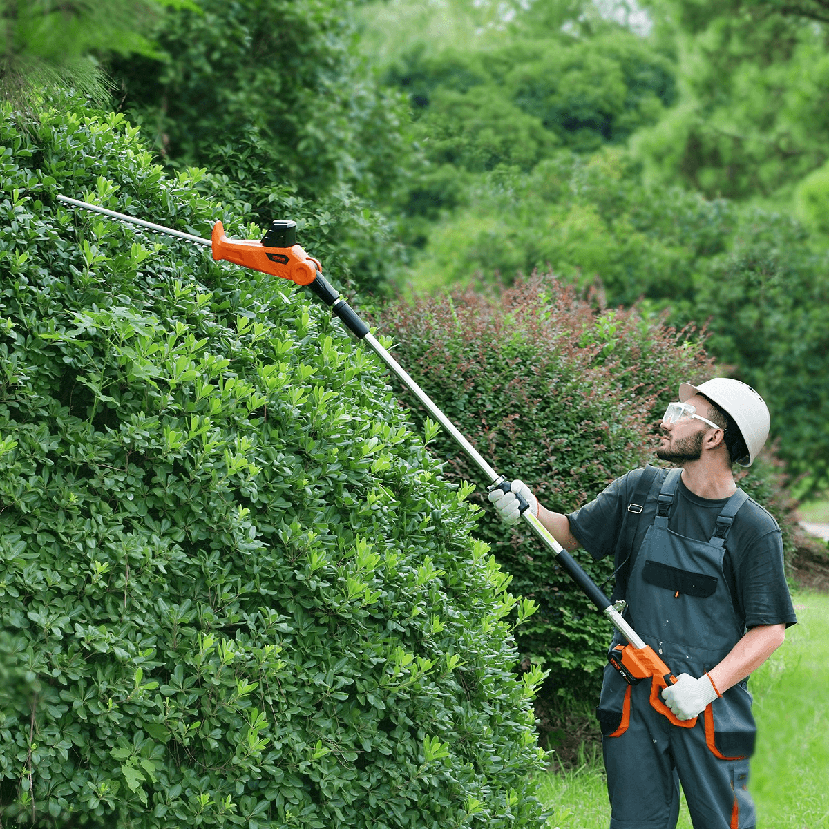 How To Use A Hedge Trimmer Properly