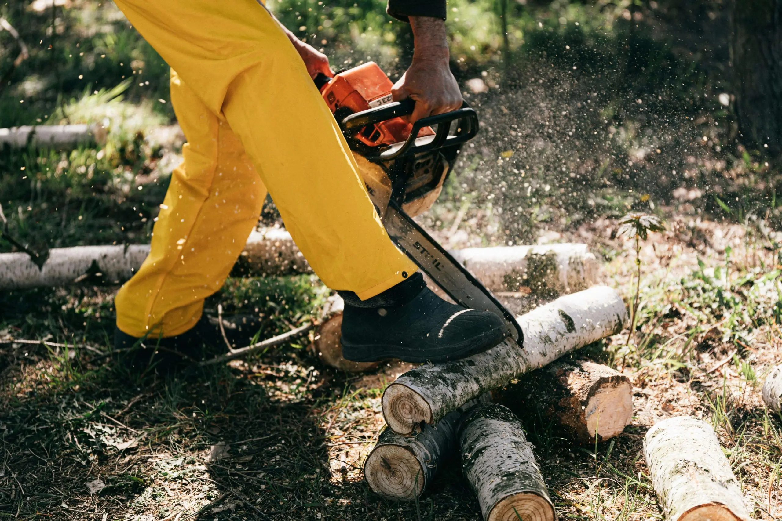 Chainsaw being used against wood logs.