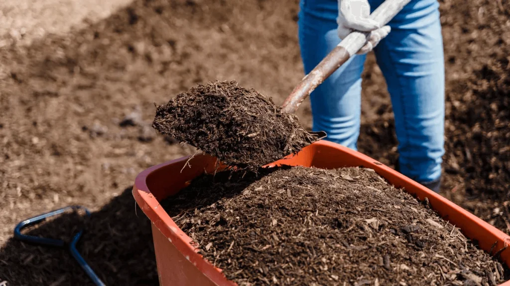 Person adding compost to hopper