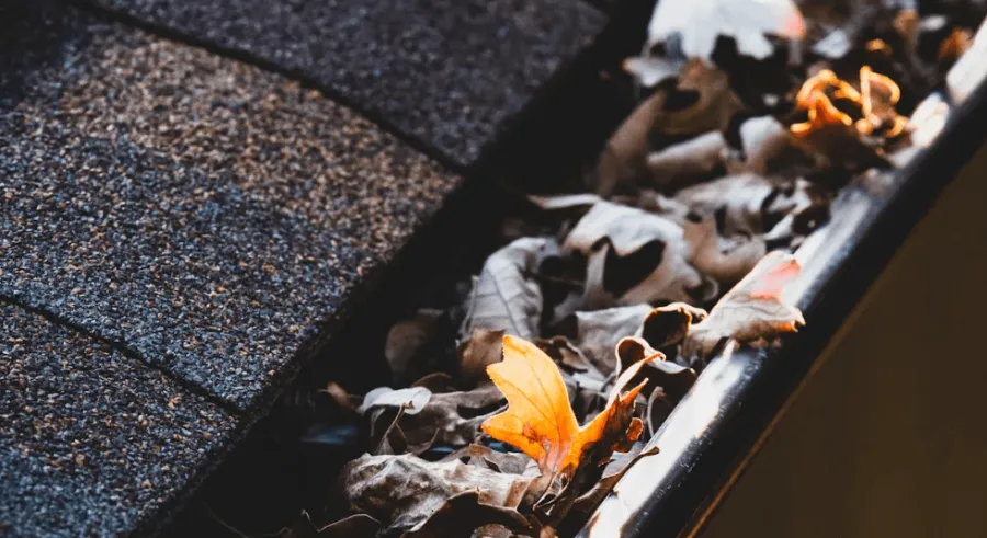 gutter clogged by leaves
