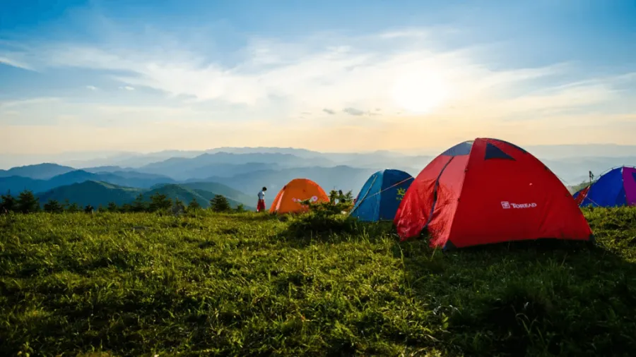 Multiple camping tents in a grassy land. 