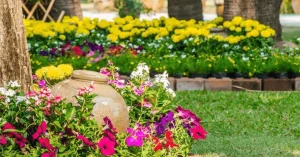 Flower Garden Ideas