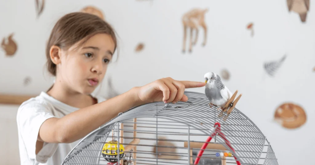 How to Clean a Bird Cage