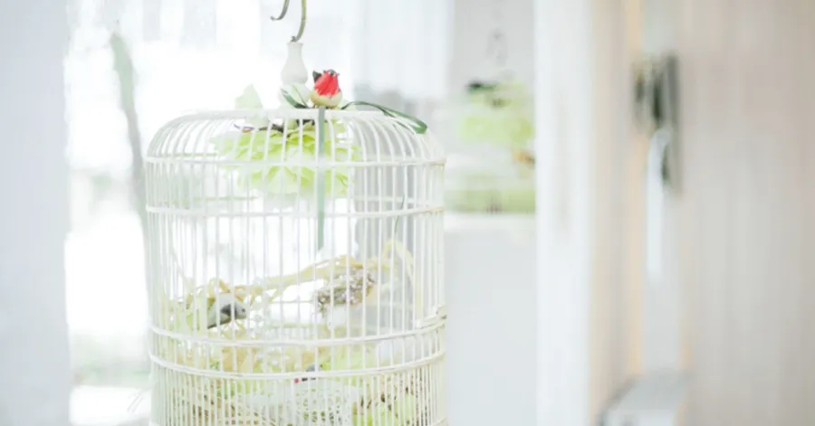 How to decorate a bird cage
