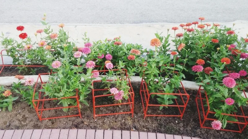 Whimsical and Playful Flower Garden Ideas