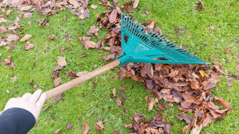 common mistakes to avoid when cleaning artificial turf