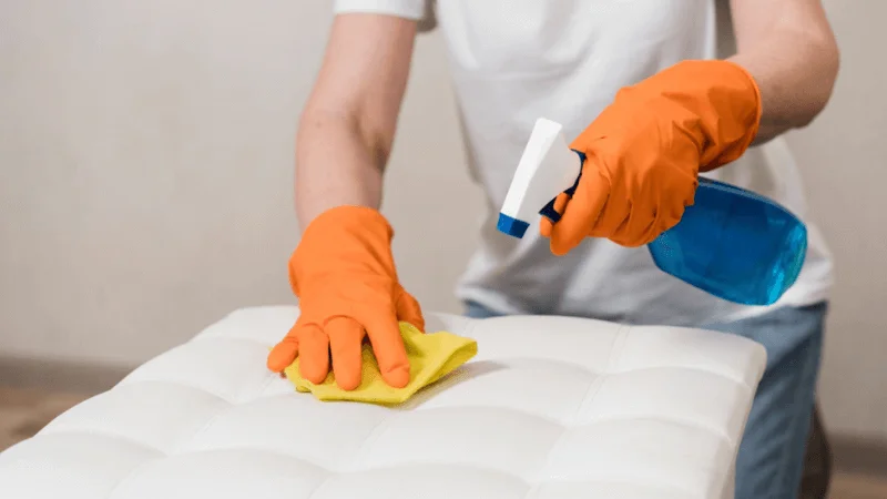 dry sponge mop for pet hair off sofa