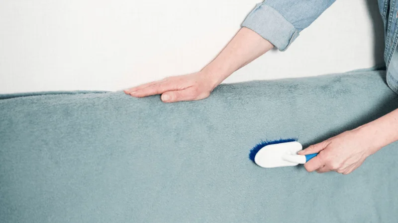 get dog hair off with a squeegee