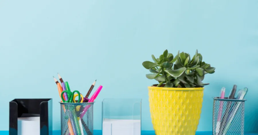 how to organize office supplie