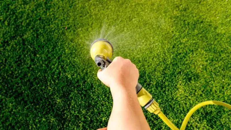 Thicken Your Lawn Quickly