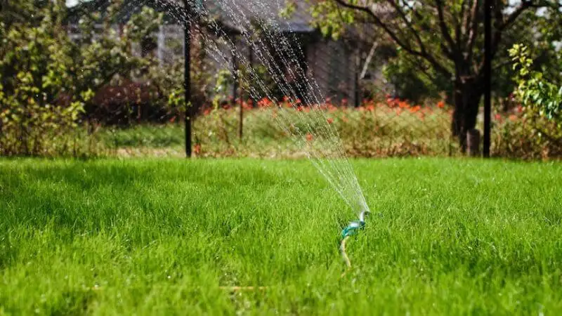 Tips for Thick Grass