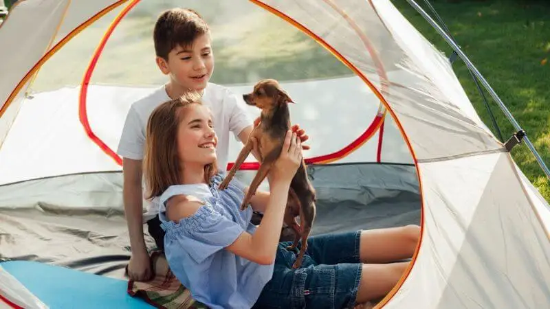 Care of Dog while Camping