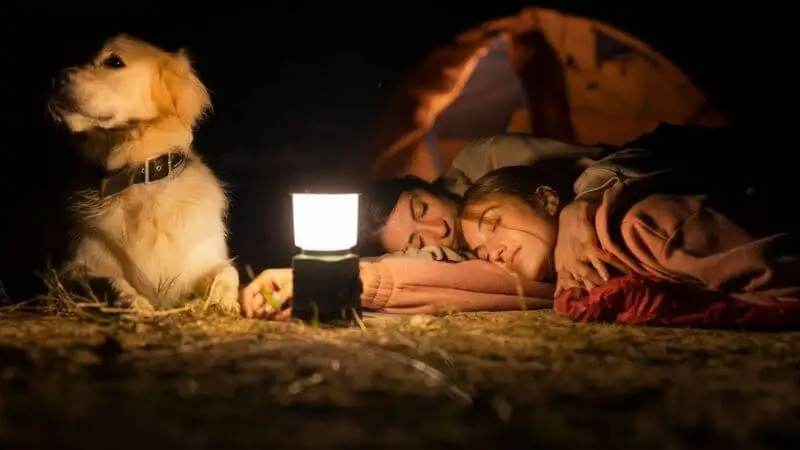 Camping with a Dog