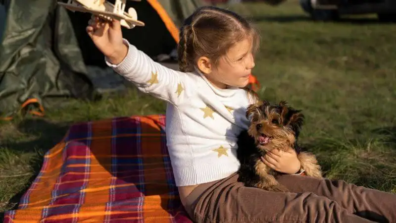 Safe Camping for Pets