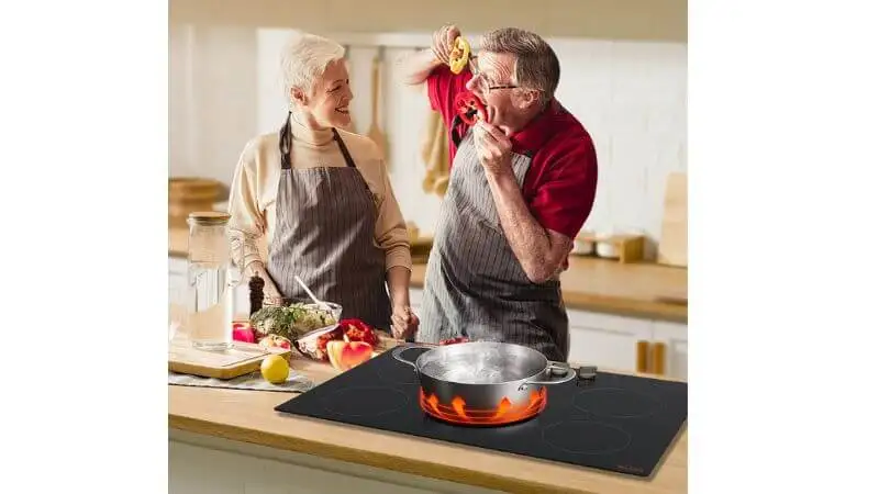 burner induction cooktop