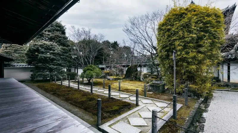 plant pairings for a gravel garden