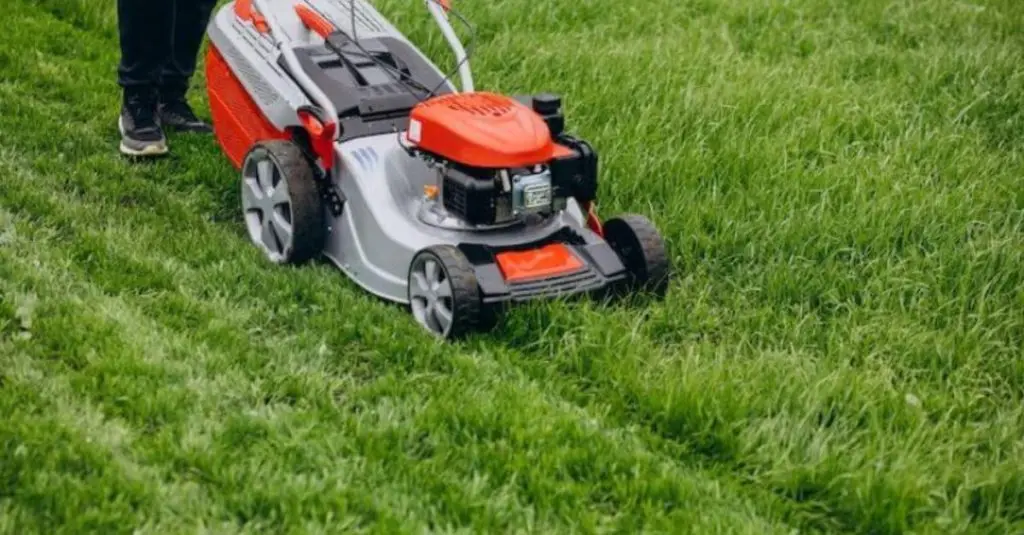 How to Thicken Lawn Grass