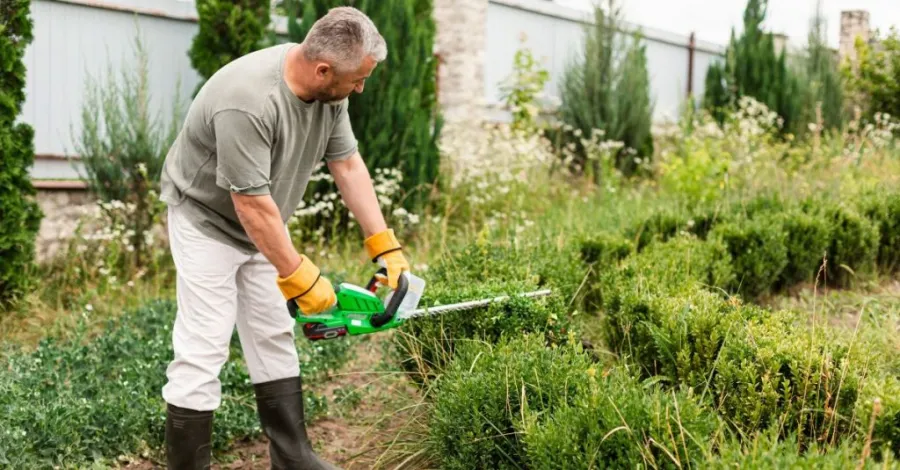 How to Treat Weeds in the Lawn