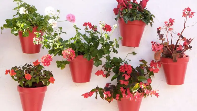  spring front porch planter ideas