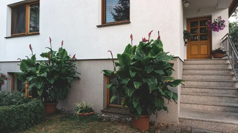 summer front porch planters ideas