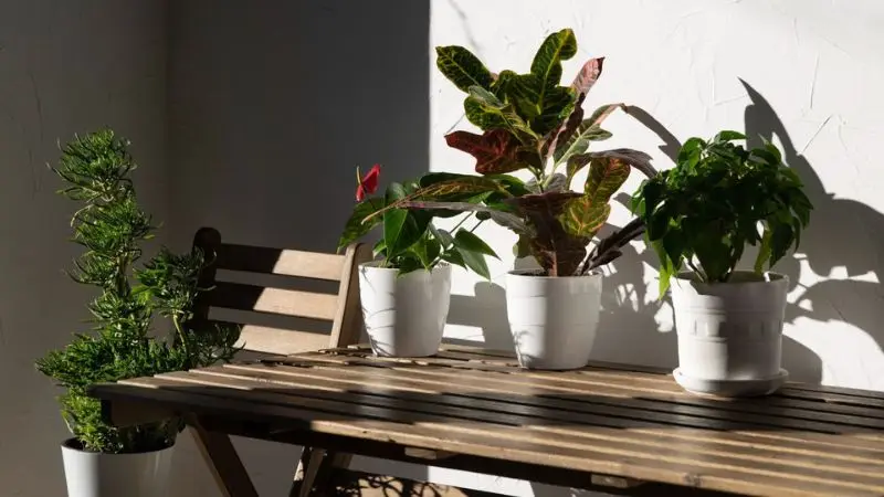 fall front porch planter ideas
