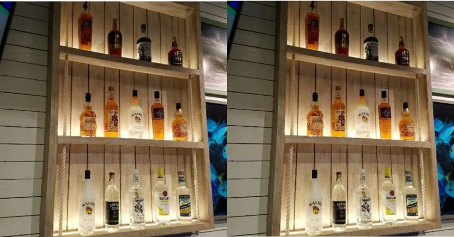 Modern Bar Shelf Ideas