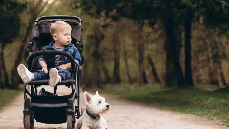 Baby Travel Essentials